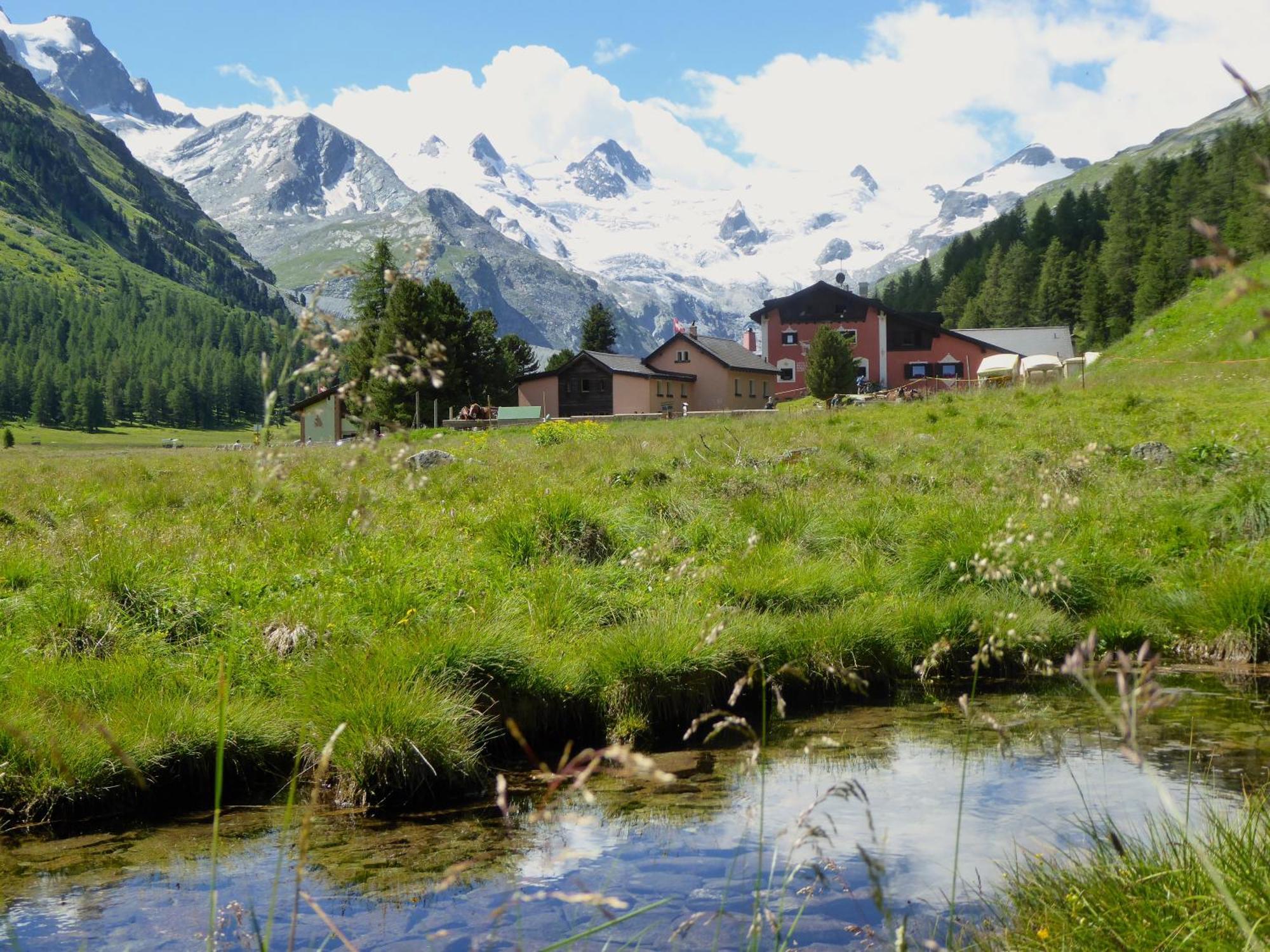 Hotel Roseg-Gletscher Pontresina Exterior photo