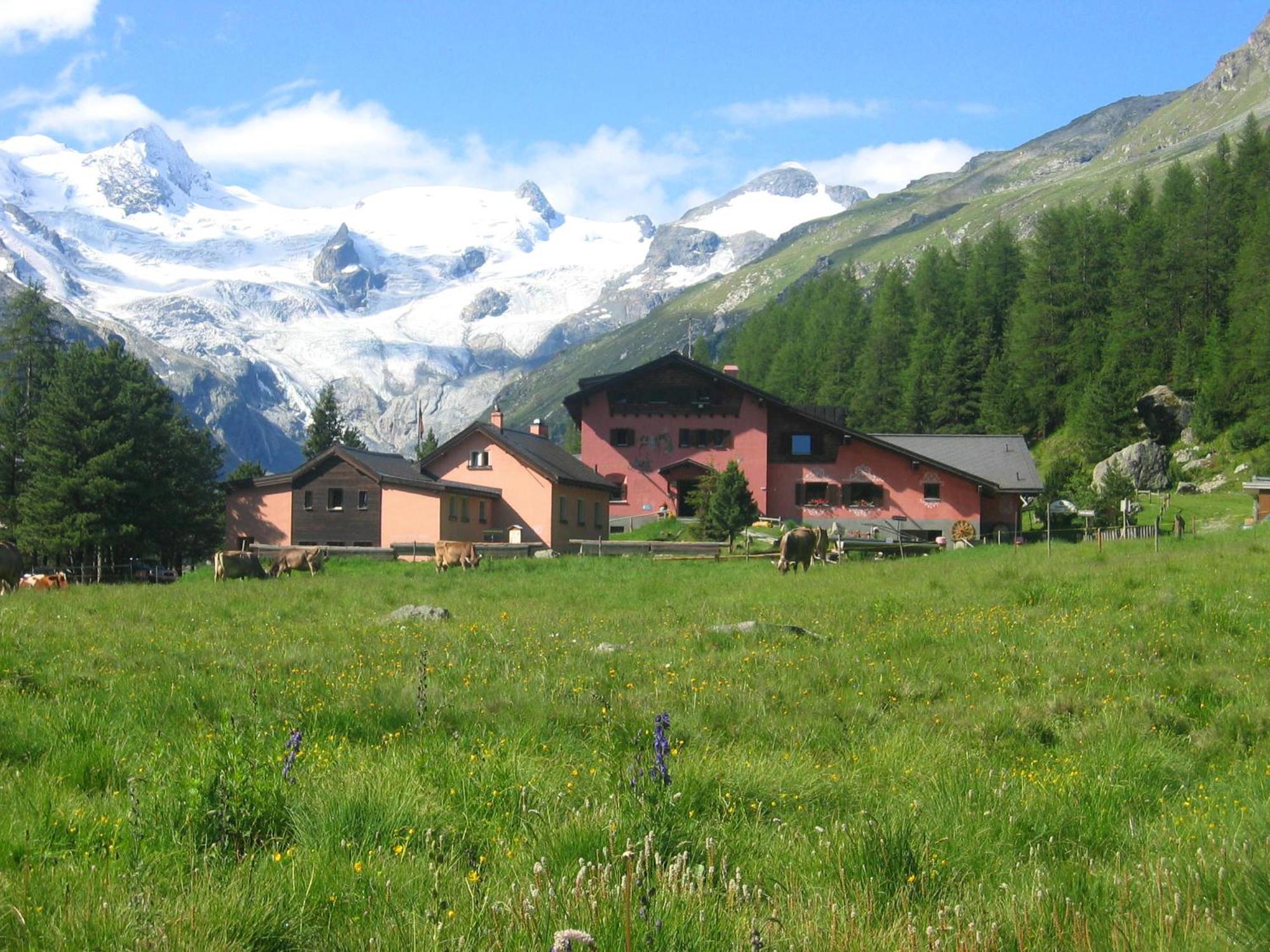 Hotel Roseg-Gletscher Pontresina Room photo