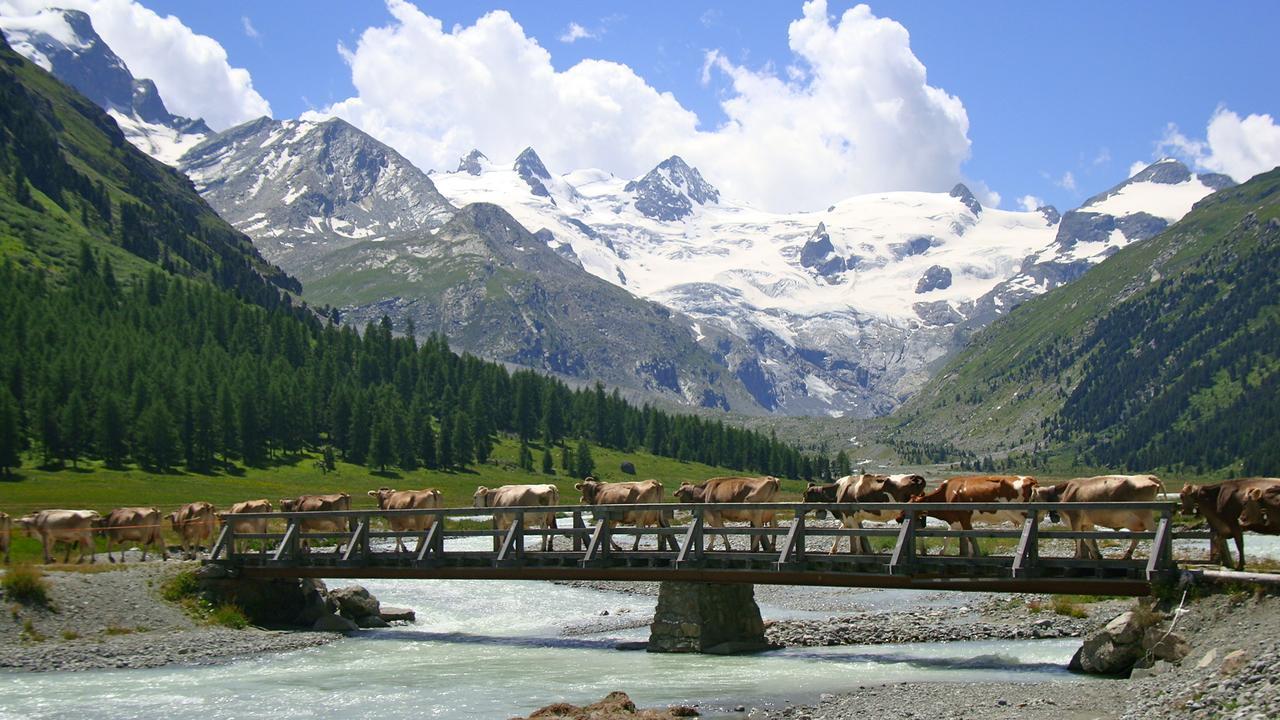 Hotel Roseg-Gletscher Pontresina Exterior photo